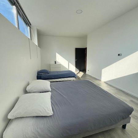 Loft Epure Avec Parking Prive. Apartment Saint-Symphorien-d'Ozon Exterior photo